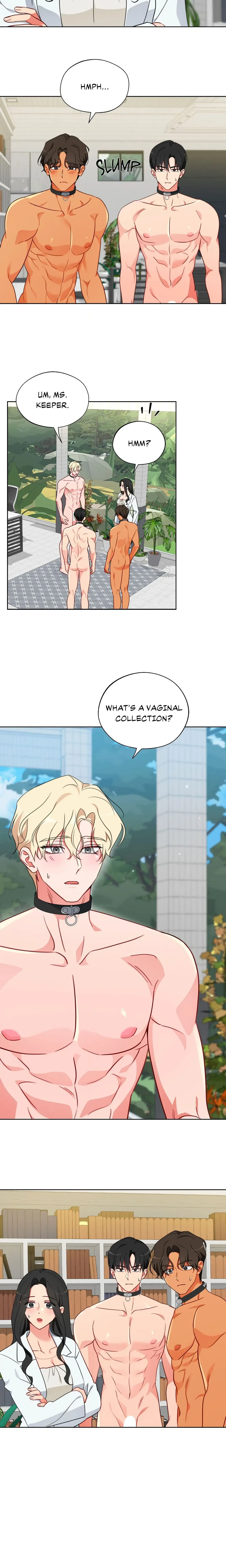 Males In The Breeding Room Chapter 15 - Page 3