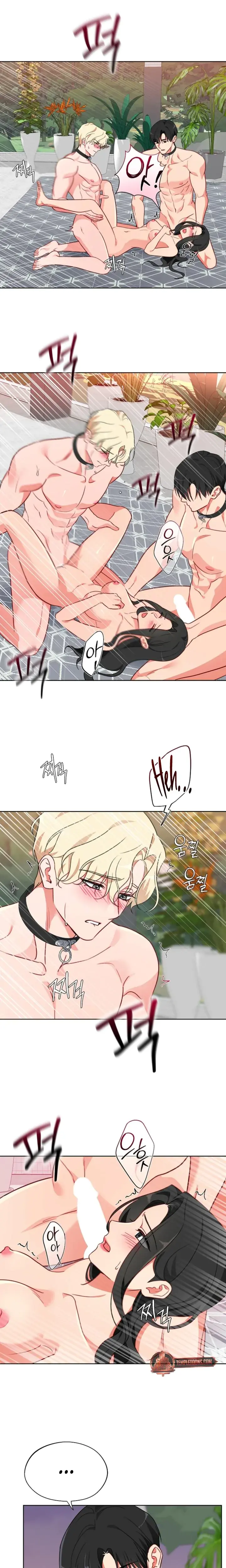 Males Of The Breeding Room Chapter 15 - Page 14