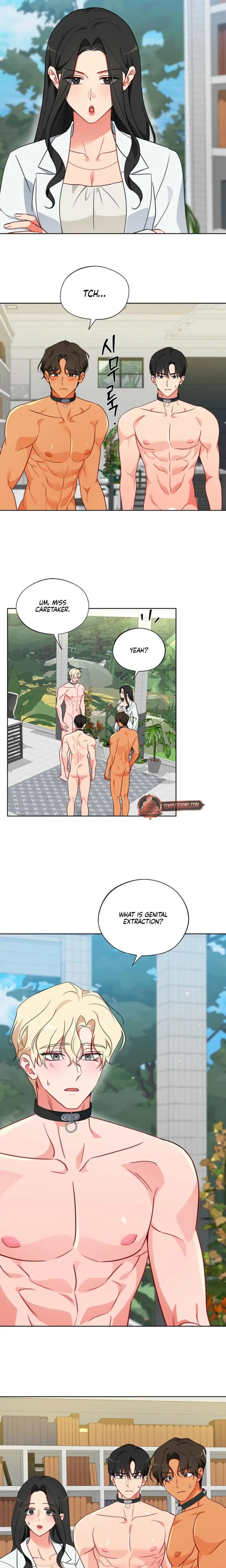 Males Of The Breeding Room Chapter 15 - Page 3