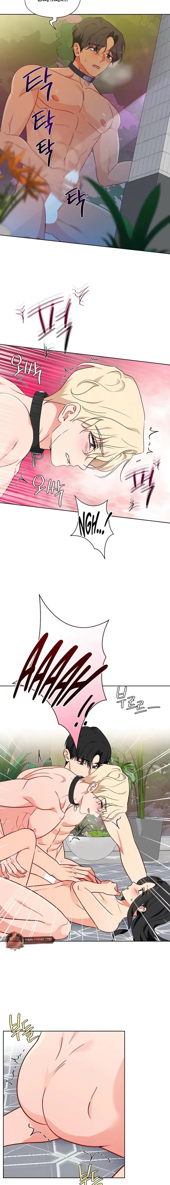 Males Of The Breeding Room Chapter 16 - Page 4