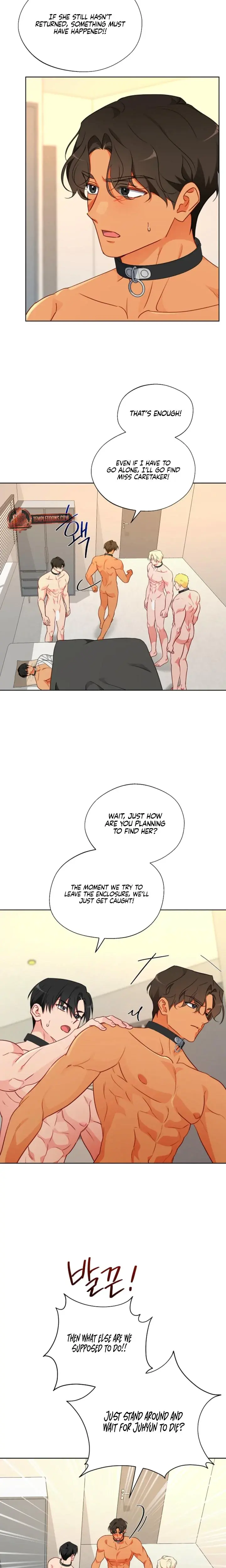 Males Of The Breeding Room Chapter 18 - Page 12