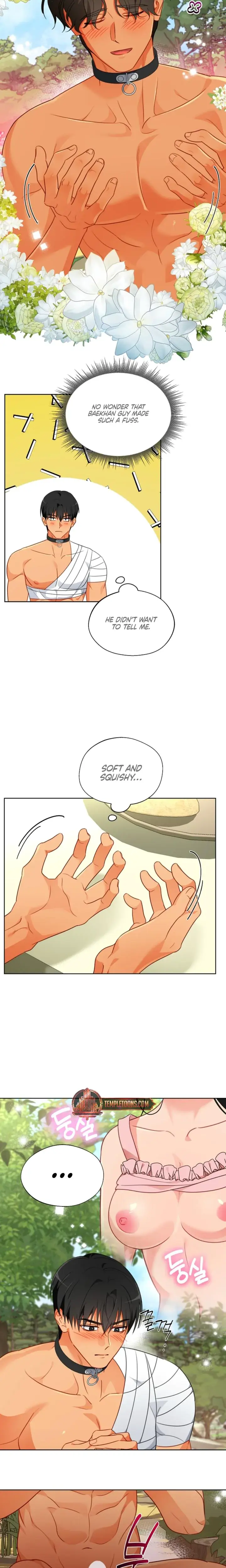 Males Of The Breeding Room Chapter 20 - Page 17