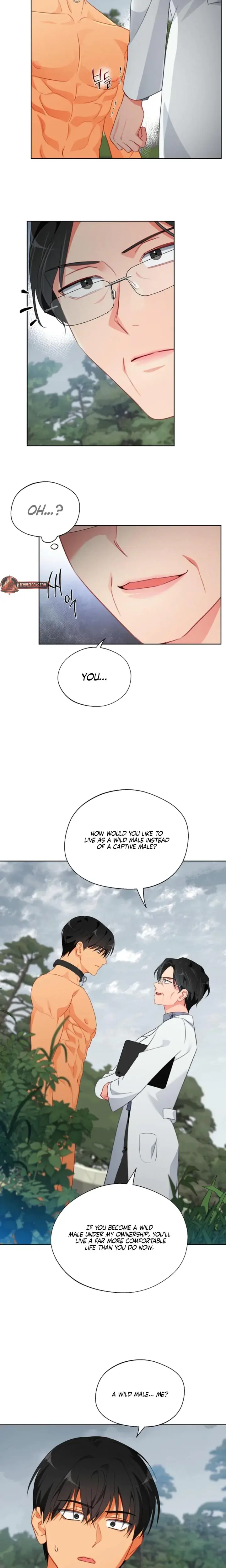 Males Of The Breeding Room Chapter 26 - Page 5