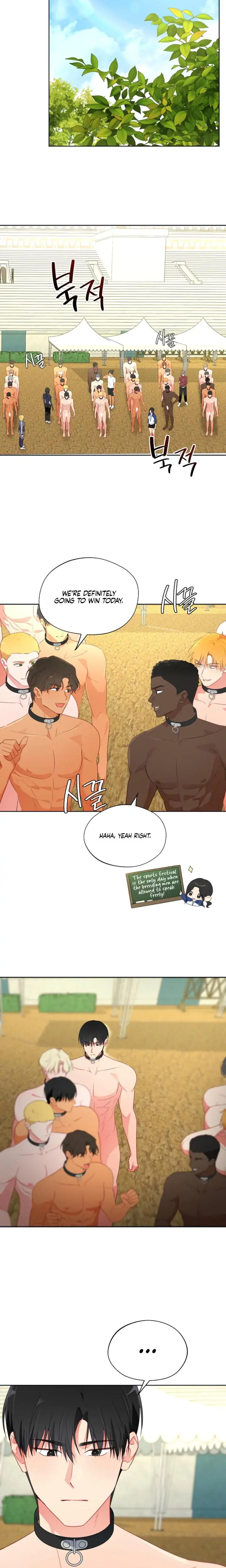 Males Of The Breeding Room Chapter 29 - Page 13