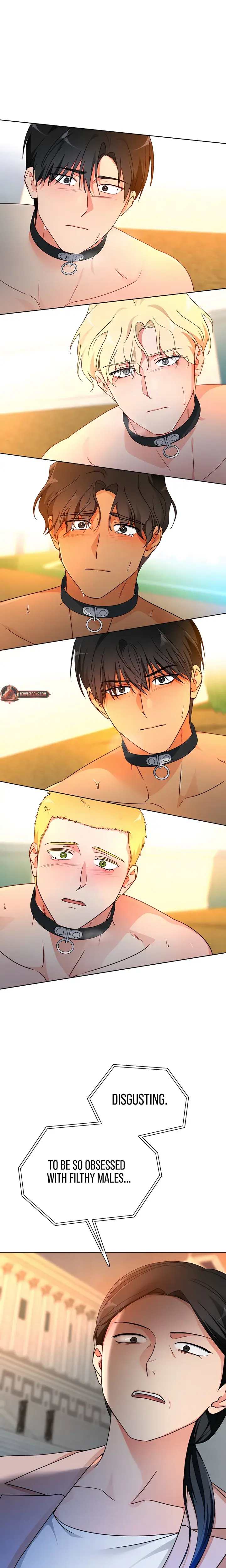 Males Of The Breeding Room Chapter 31 - Page 16