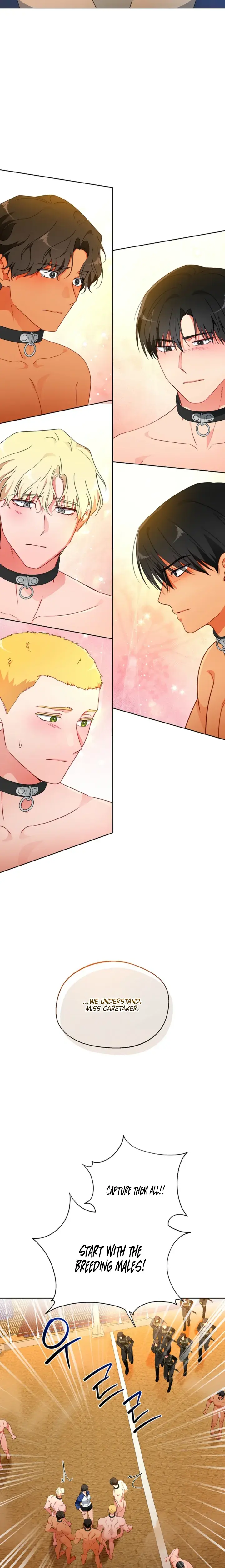 Males Of The Breeding Room Chapter 32 - Page 8
