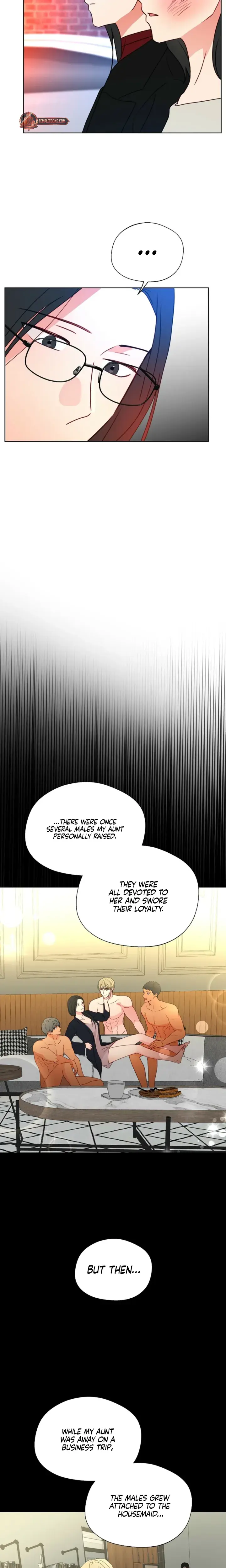 Males Of The Breeding Room Chapter 33 - Page 17