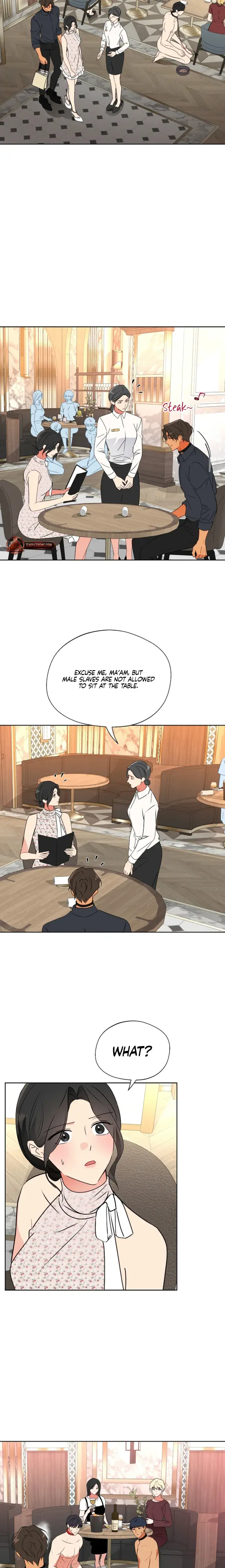 Males Of The Breeding Room Chapter 37 - Page 12