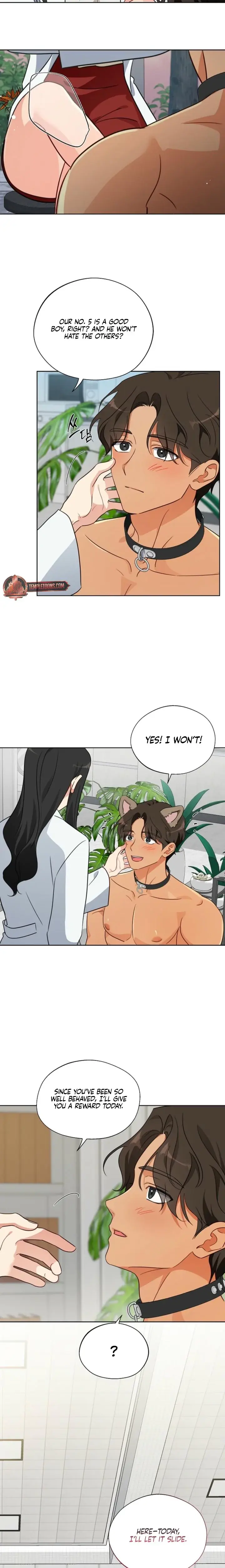 Males Of The Breeding Room Chapter 5 - Page 17