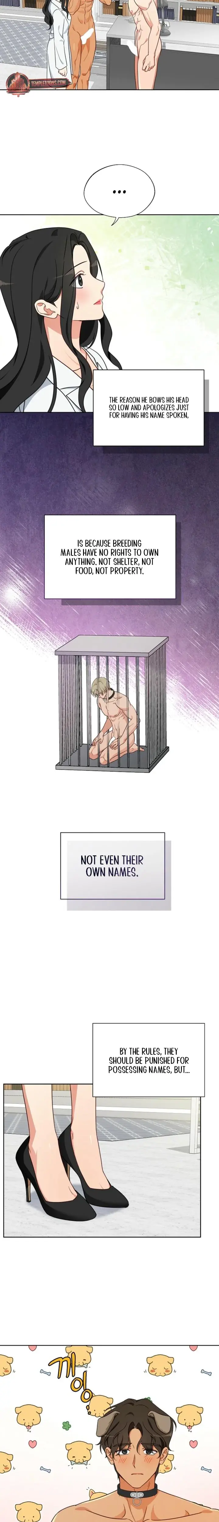 Males Of The Breeding Room Chapter 6 - Page 9
