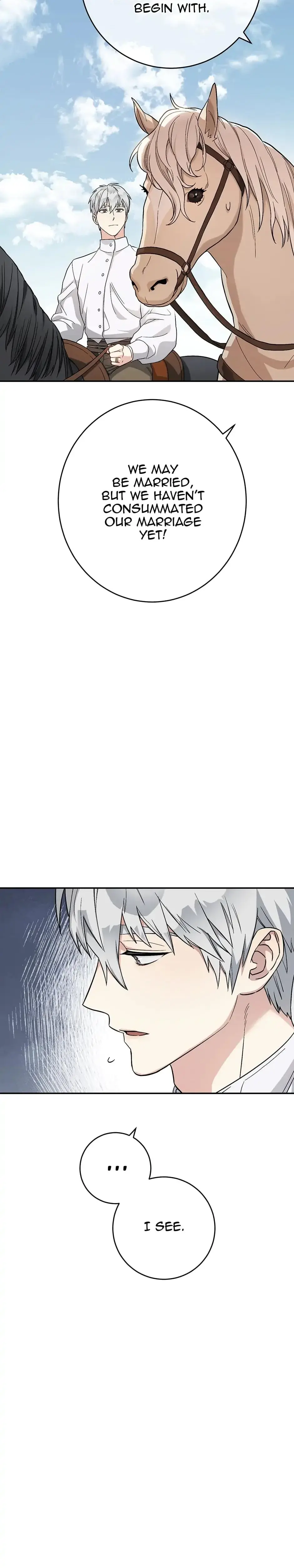 Marriage Of Convenience Chapter 19 - Page 29