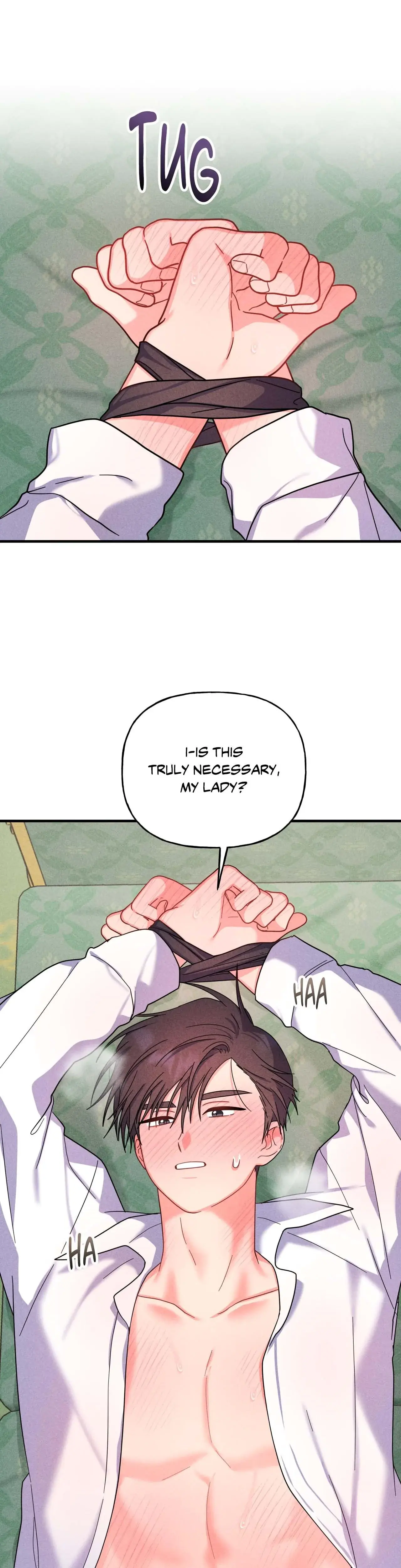 My Ladys Midnight Affairs Chapter 12 - Page 19