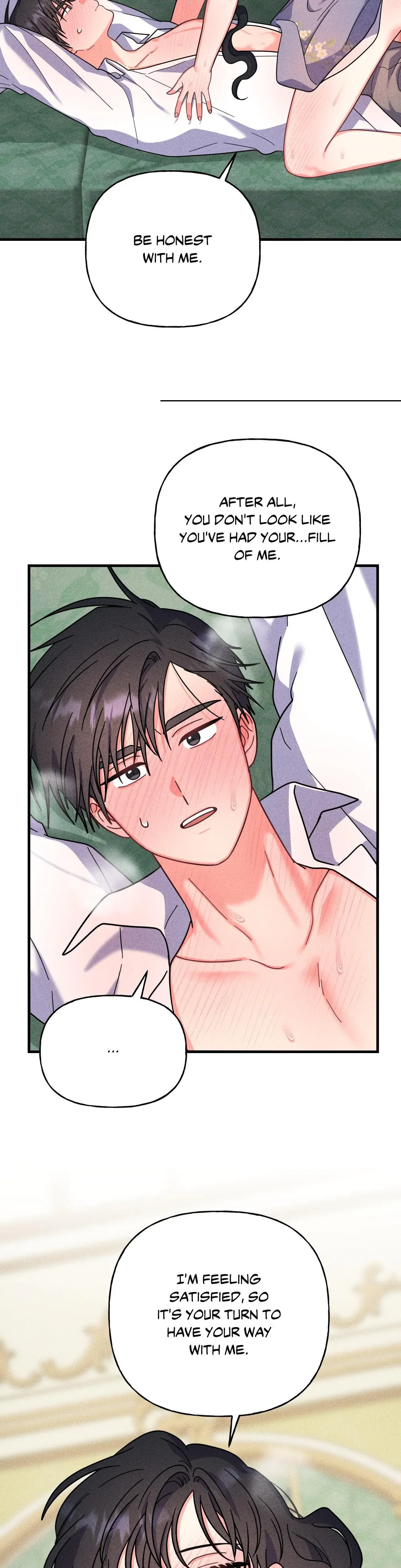 My Ladys Midnight Affairs Chapter 13 - Page 12