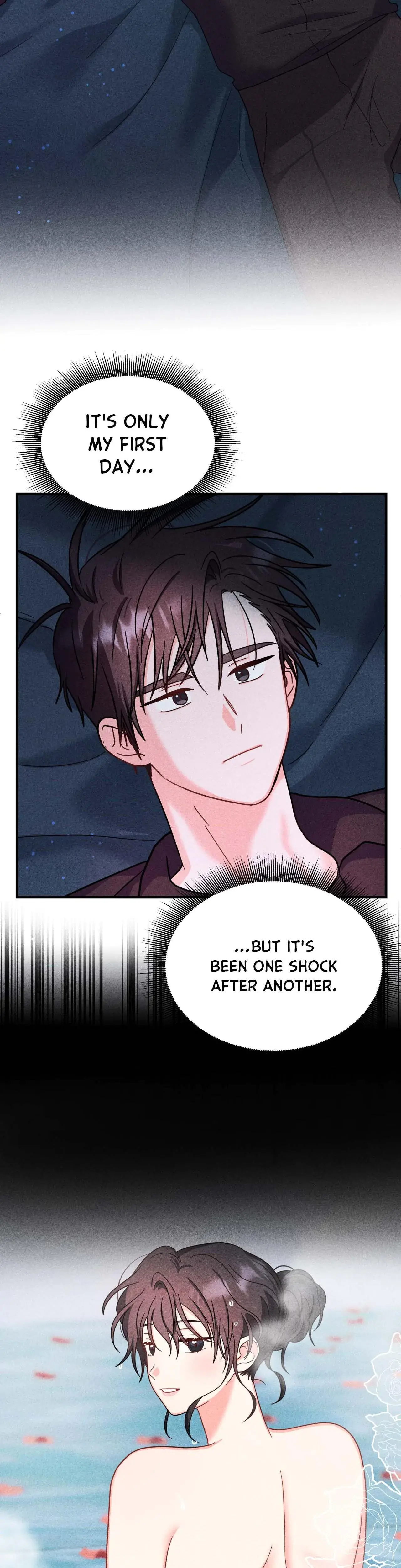 My Ladys Midnight Affairs Chapter 2 - Page 30
