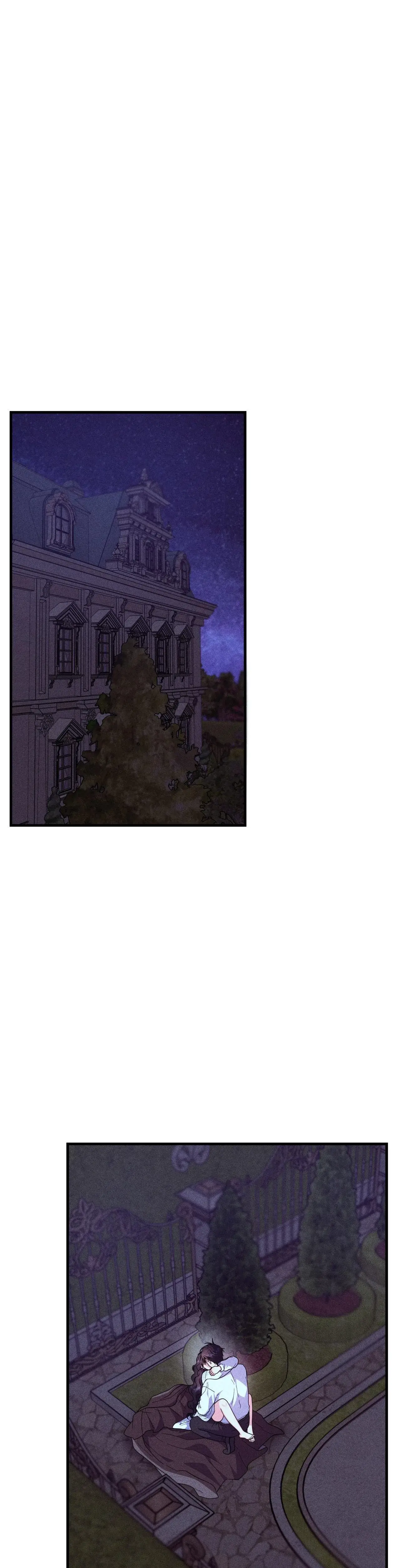 My Ladys Midnight Affairs Chapter 31 - Page 1