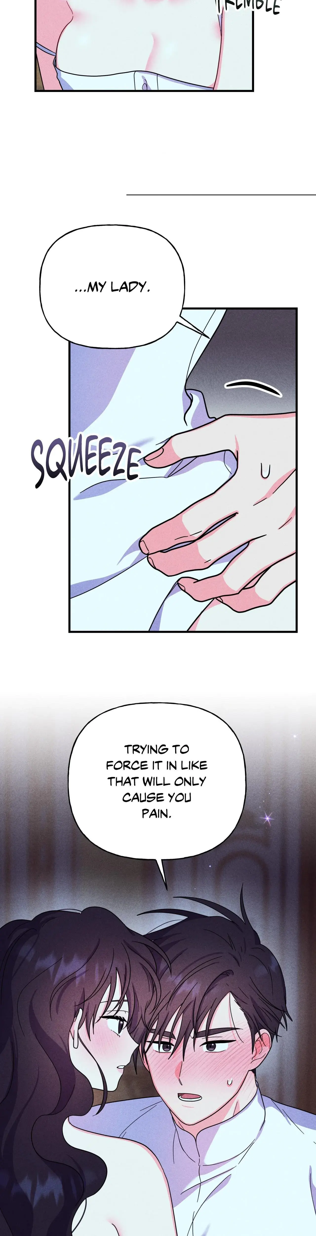 My Ladys Midnight Affairs Chapter 6 - Page 11