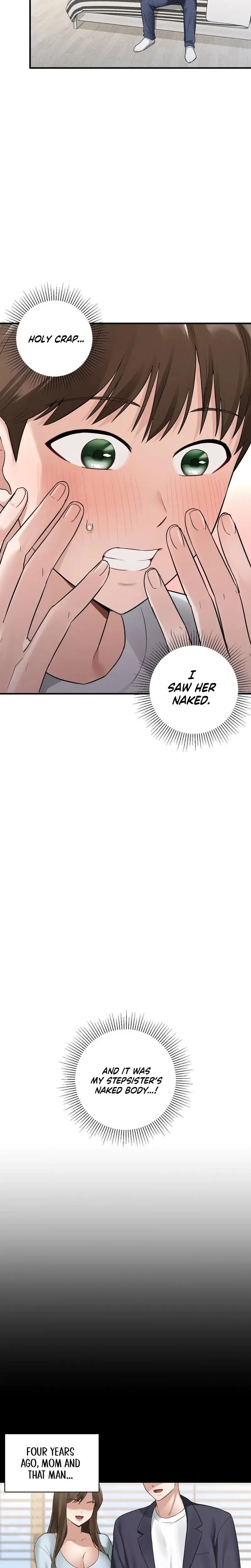 My Story On My Stepsisters Secret Account Chapter 1 - Page 3