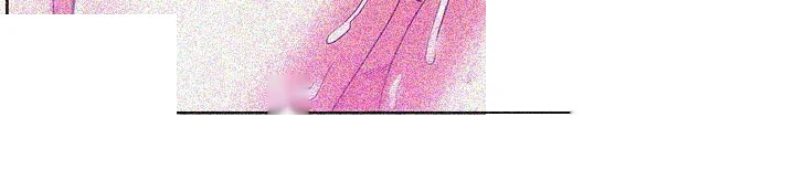 My Wifes Friend Chapter 19 - Page 7