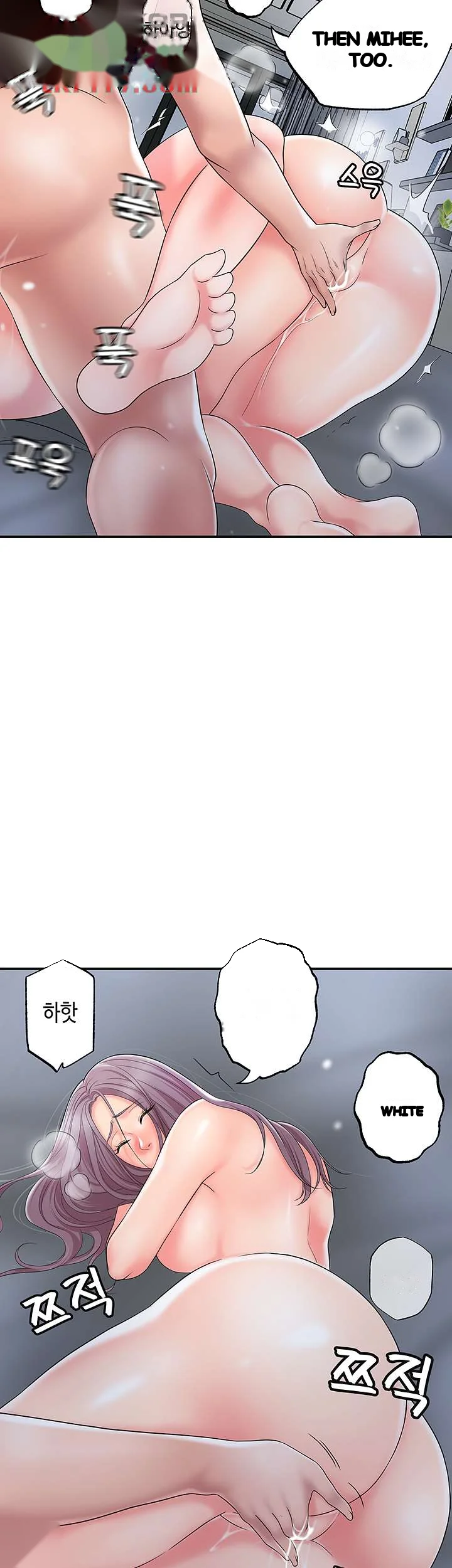 New Town Mr Xx Raw Chapter 40 - Page 41
