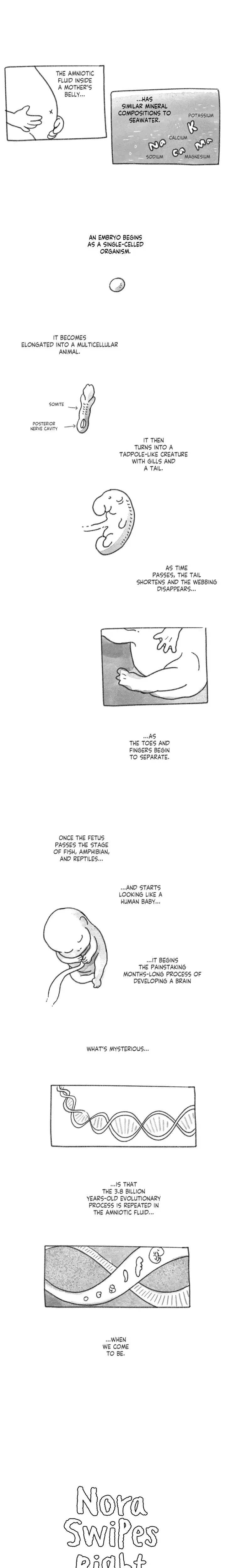 Nora Swipes Right Chapter 178 - Page 1