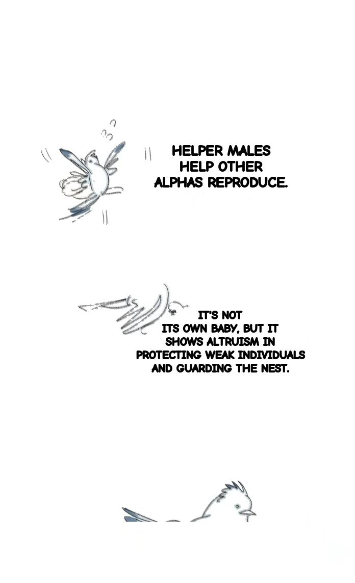 Nora Swipes Right Chapter 233 - Page 37
