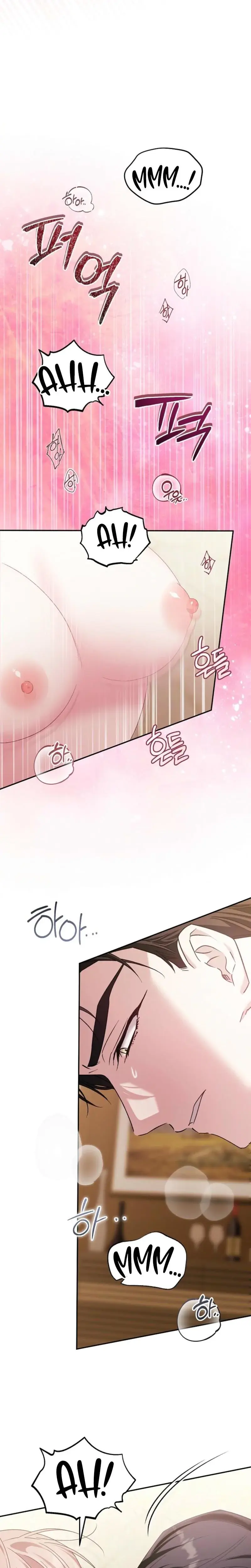 Obedient Pregnancy Chapter 8 - Page 11