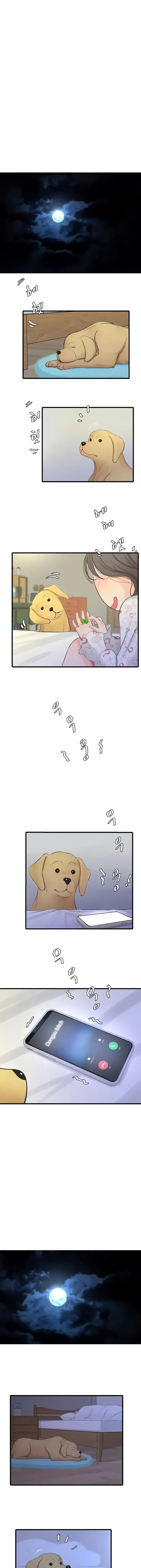 Ones In Laws Virgins Chapter 74 - Page 23