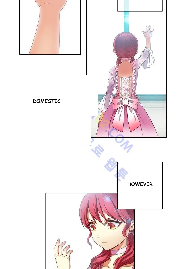 Reminiscence Adonis Manhwa Chapter 1 - Page 37
