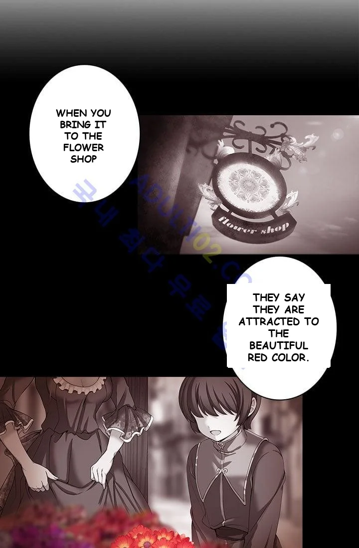 Reminiscence Adonis Manhwa Chapter 1 - Page 48
