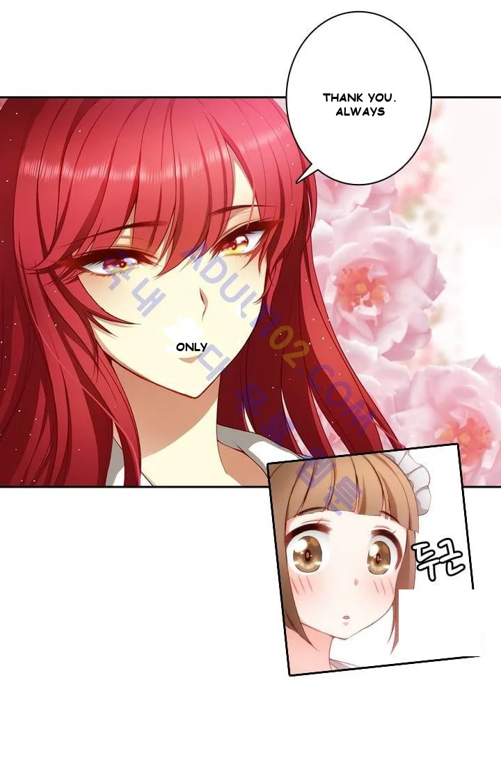Reminiscence Adonis Manhwa Chapter 11 - Page 18