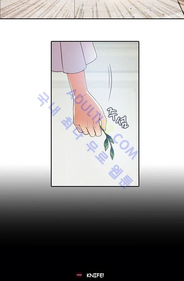 Reminiscence Adonis Manhwa Chapter 2 - Page 13