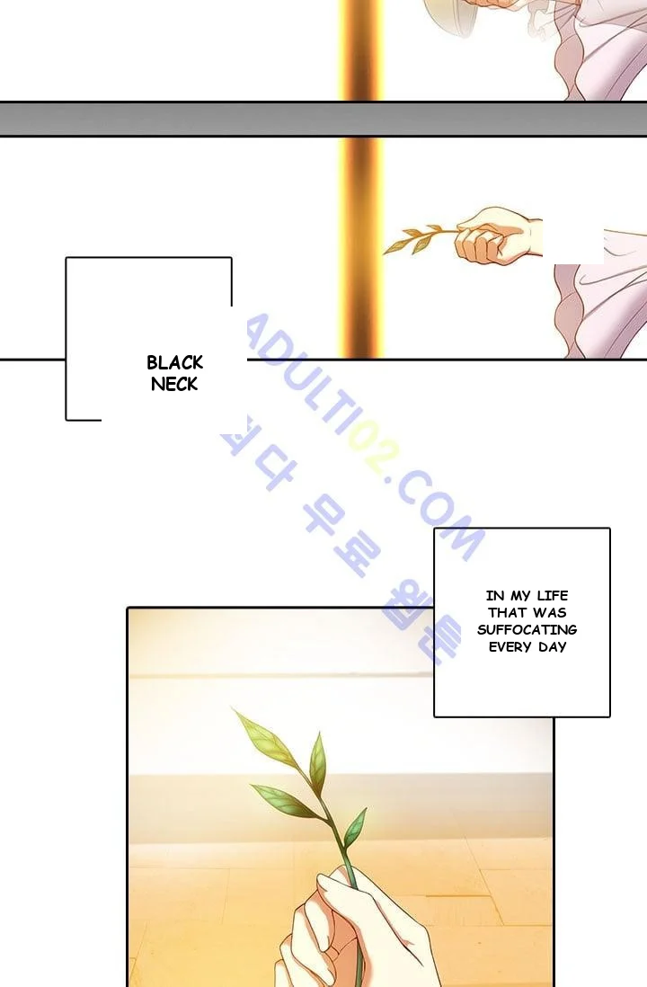 Reminiscence Adonis Manhwa Chapter 2 - Page 19