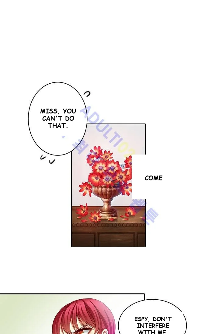 Reminiscence Adonis Manhwa Chapter 2 - Page 3