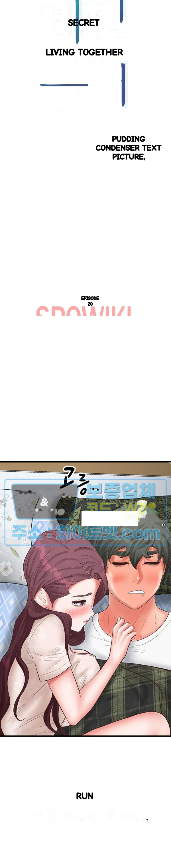 Secret Cohabitation Chapter 20 - Page 19