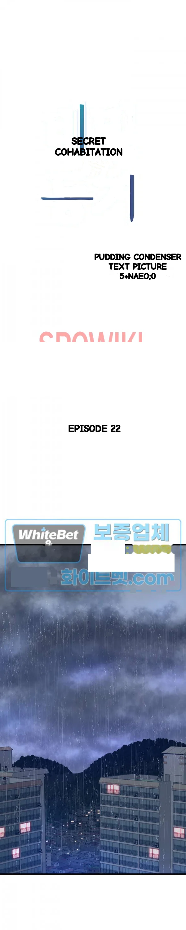 Secret Cohabitation Chapter 22 - Page 20