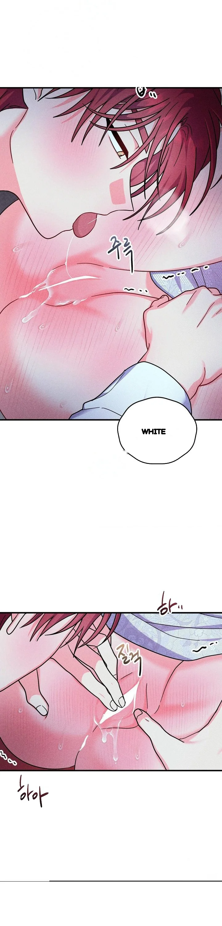 Secret Education With My Lady Chapter 23 - Page 24
