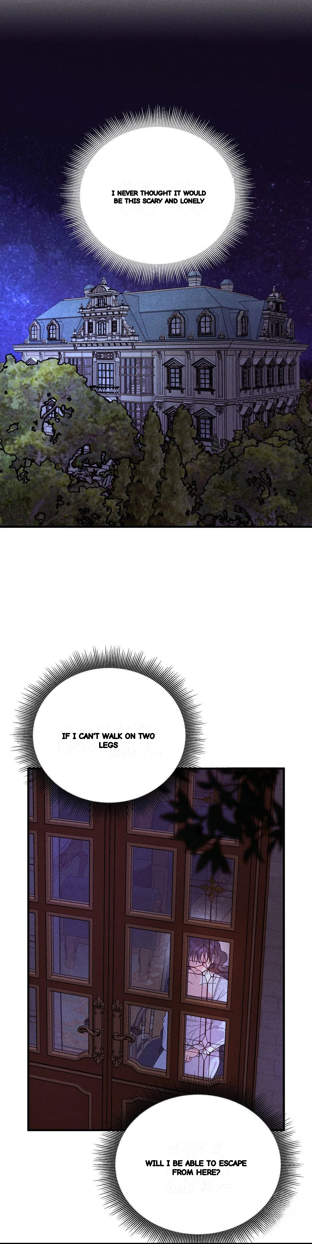 Secret Education With My Lady Chapter 30 - Page 12