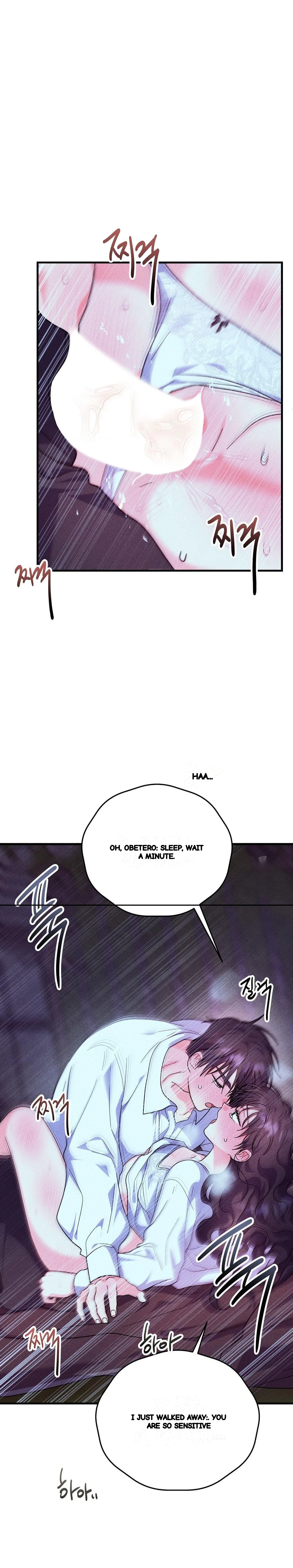 Secret Education With My Lady Chapter 31 - Page 17
