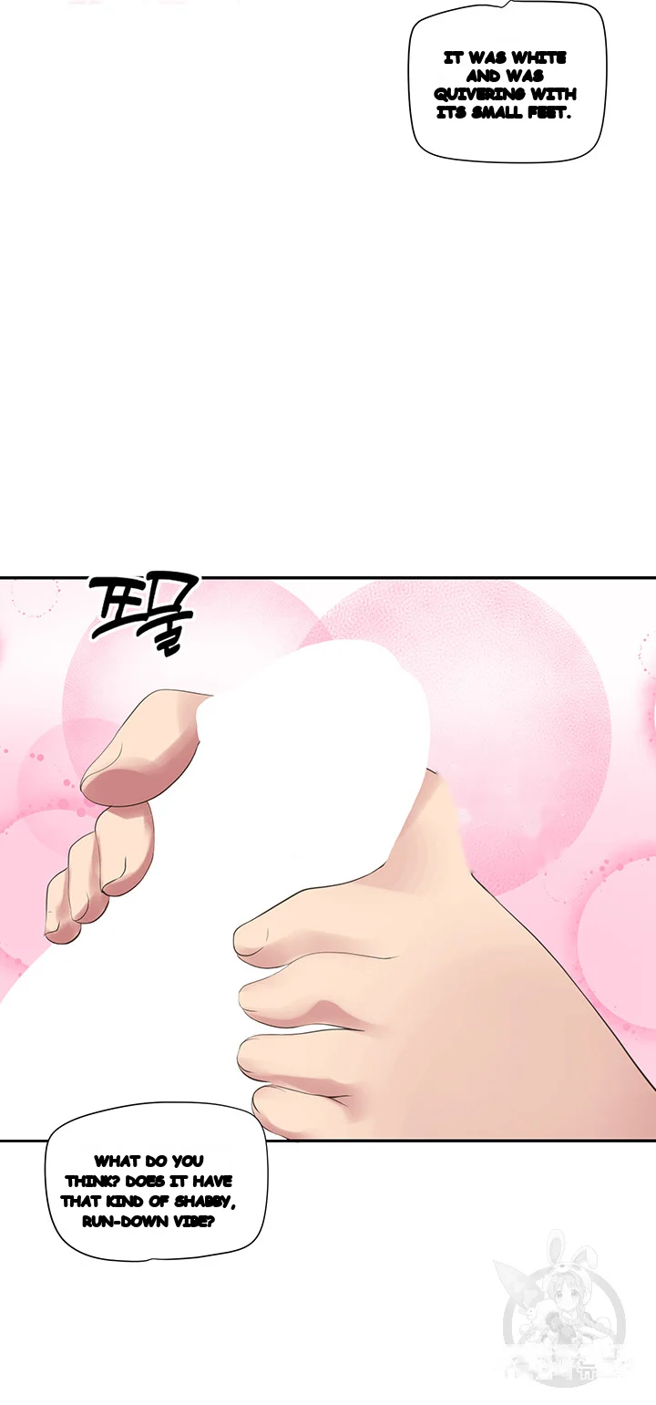 Slave Knight Of The Elf Chapter 13 - Page 28