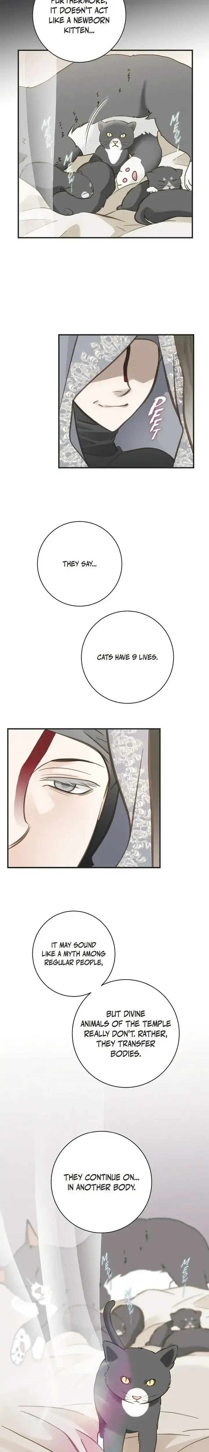Survival Marriage Chapter 72 - Page 10