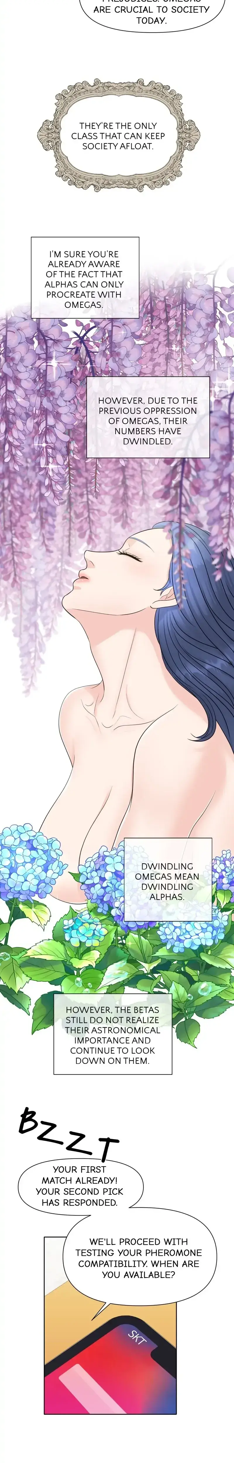 The Alpha Of Her Choice Chapter 3 - Page 8