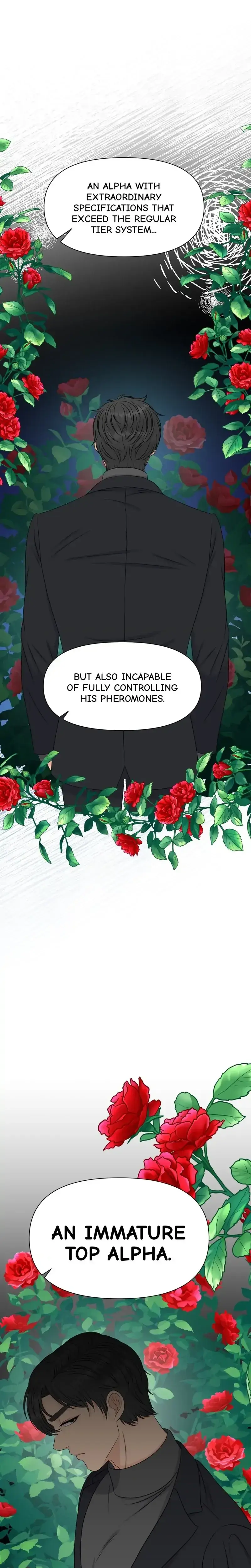 The Alpha Of Her Choice Chapter 53 - Page 24