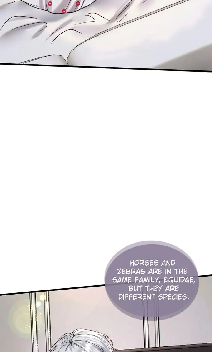 The Billionaires Replacement Wife Chapter 71 - Page 2