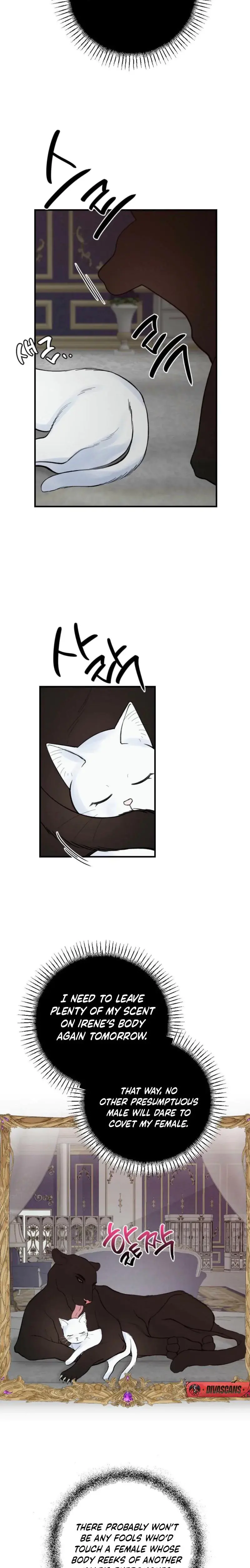 The Circumstances Of A White Cat Bitten By The Black Panther Count Chapter 3 - Page 14