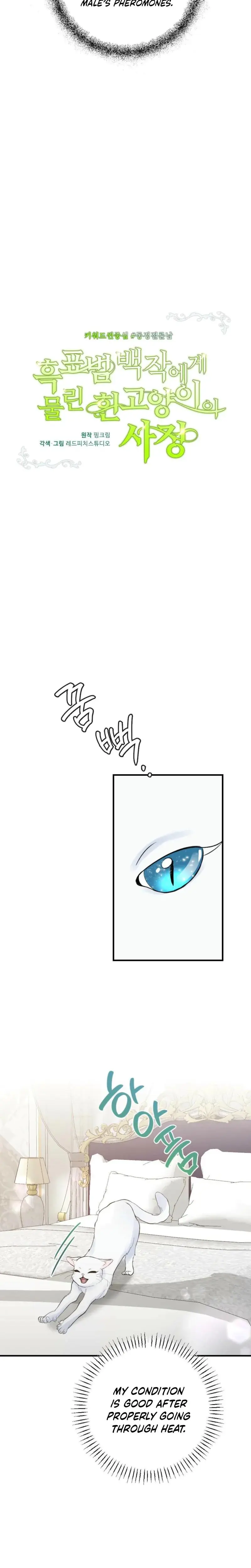 The Circumstances Of A White Cat Bitten By The Black Panther Count Chapter 3 - Page 15