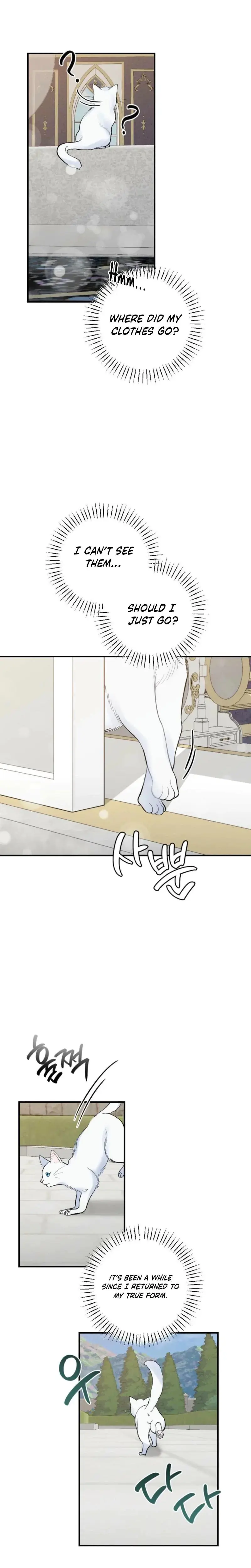 The Circumstances Of A White Cat Bitten By The Black Panther Count Chapter 3 - Page 16