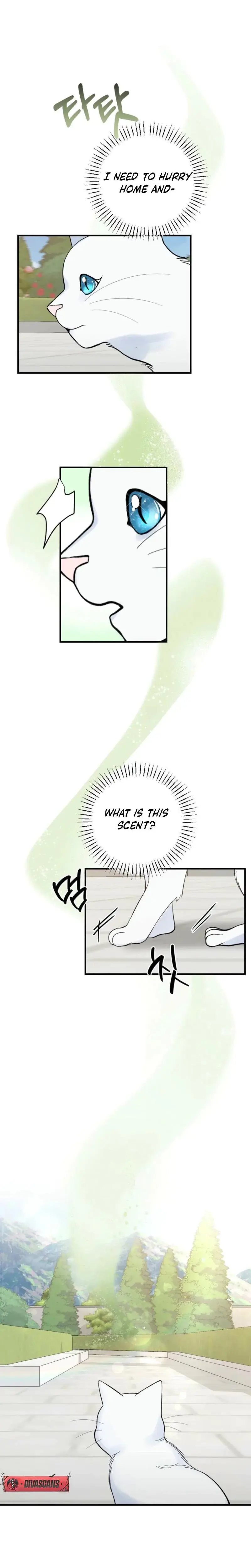 The Circumstances Of A White Cat Bitten By The Black Panther Count Chapter 3 - Page 17