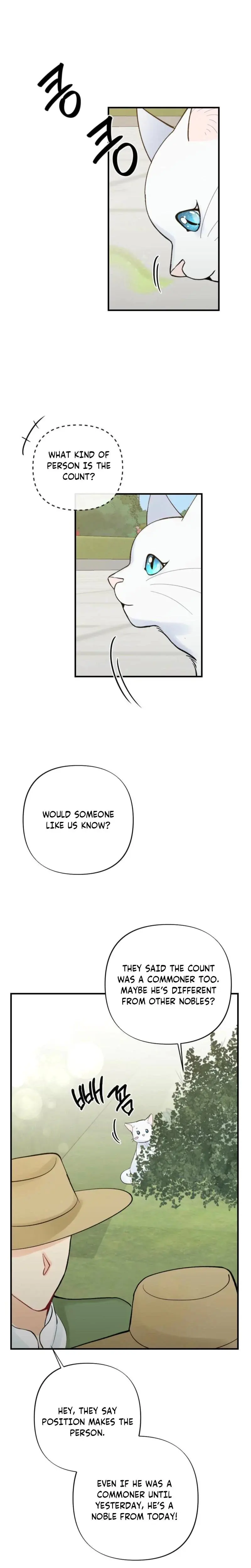 The Circumstances Of A White Cat Bitten By The Black Panther Count Chapter 3 - Page 18