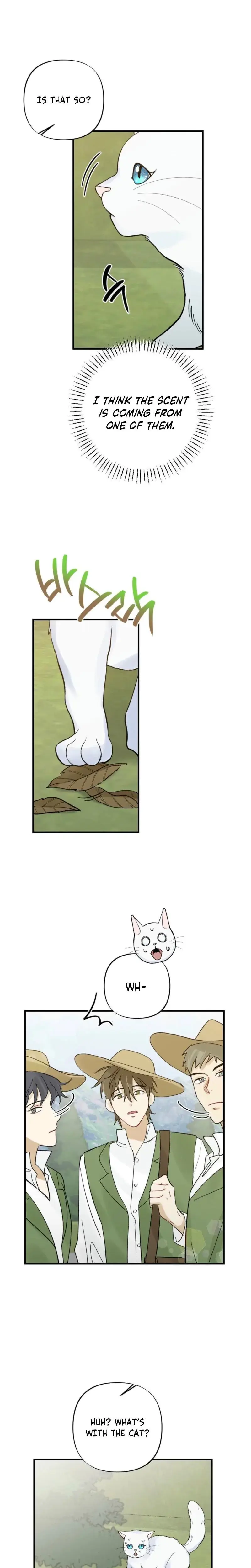 The Circumstances Of A White Cat Bitten By The Black Panther Count Chapter 3 - Page 19