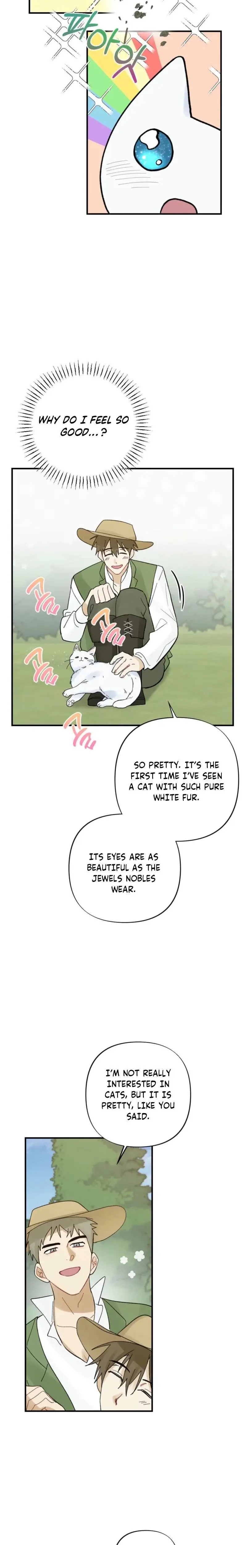 The Circumstances Of A White Cat Bitten By The Black Panther Count Chapter 3 - Page 21